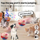 🔥Hot Sale 49% OFF - Active Moving Pet Plush Toy🎁