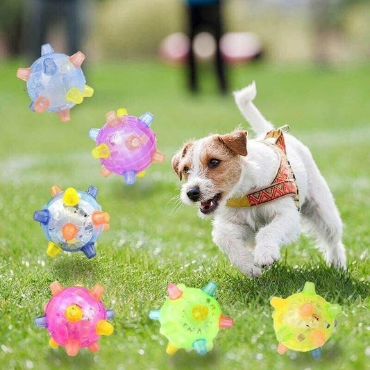 💥Hot Sale💥Jumping activation ball for dogs and cats